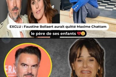 Faustine Bollaert : le père de ses enfants, Maxime Chattam, est dans un état critique. Elle a dévoilé une image qui a ému ses fans aux larmes.