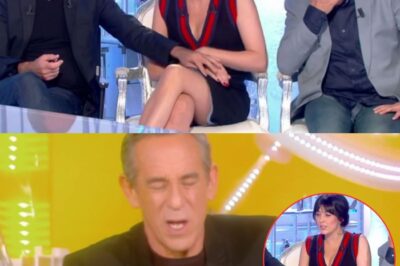 Main sous la jupe de Nolwenn Leroy, face à la polémique, Thierry Ardisson s’en est sorti avec un SMS hallucinant