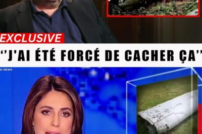 “J’ai trouvé où est VRAIMENT le MH370 et j’ai des preuves” Richard Godfrey laisse le monde STUPÉFIÉ