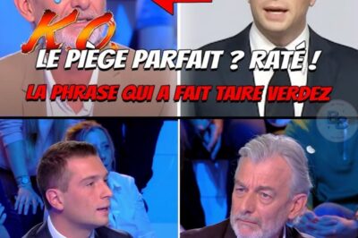 HUMILIATION EN DIRECT ! Vous avez raté le clash monumental sur TPMP ? Gilles Verdez pensait tenir sa proie, Jordan Bardella, en lui parlant de son passé de professeur pour immigrés. ERREUR FATALE ! Bardella a souri et a raconté l’histoire avec fierté, avant de porter un coup magistral sur l’exploitation des étrangers et “le drame de l’immigration”. Verdez est resté bouche bée, un véritable “KO technique”. La rhétorique était IMPLACABLE. 