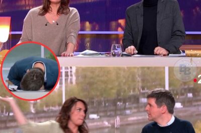 Julia Vignali : Énorme clash dans Telematin avec Thomas Sotto, ça part en vrille