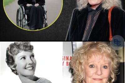 À 92 ans, la star de “Downtown” vit une vie que vous n’imaginez PAS ! Petula Clark, l’icône mondiale, a tout connu : la gloire, les drames, la solitude… Aujourd’hui, loin des paillettes, elle vit retirée en Suisse. Mais sa réalité est loin de celle d’une simple retraitée. Nous révélons son quotidien incroyable, entre discipline et spiritualité.