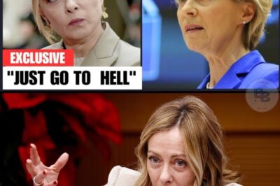 « J’EN AI FINI ! » : LA FUREUR DE MELONI FRACASSE LA TYRANNIE DE BRUXELLES – LE DÉBUT DE LA RÉVOLTE SISMIQUE QUI MENACE D’EMPORTER VON DER LEYEN