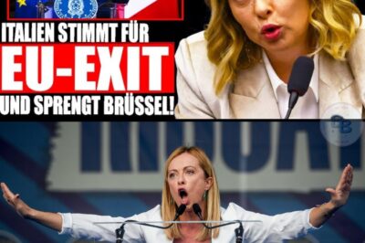 Meloni Déclare la Guerre à Bruxelles : Le Début de la Fin de l’Union Européenne et l’Effondrement du Mur Anti-AfD en Allemagne