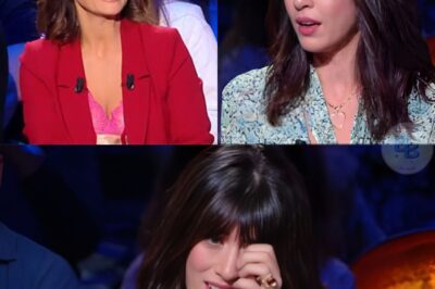 “UNE CHANCE DE POUVOIR GRANDIR AUPRÈS D’ELLE…” En pleurs, Nolwenn Leroy a ému la France entière. La chanteuse a été cueillie par une surprise de Faustine Bollaert : un message de sa grand-mère adorée. Elle a expliqué son lien unique avec elle et pourquoi cet héritage familial l’a tant touchée. Une véritable déclaration d’amour à ses grands-parents qui nous a tous fait pleurer. L’histoire de ce violon est incroyable.