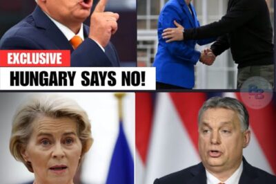 La Mutinerie du Grain : Comment Orbán, Fico et Tusk Brisent le Rêve d’Intégration d’Ursula von der Leyen et Menacent l’Avenir de l’UE