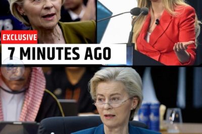 L’Épave de Confiance : Le Réquisitoire Glacé d’une Voix Néerlandaise qui Fait Trembler les Fondations d’Ursula von der Leyen