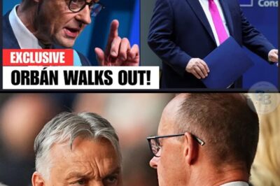 LE JOUR OÙ L’UNION EUROPÉENNE A COMMENCÉ À MOURIR : LA SORTIE FRACASSANTE D’ORBÁN APRÈS L’ULTIMATUM DE MERZ DÉVOILE LE PLAN SECRET DU « BOUCLIER SOUVERAIN »