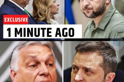 Le « Non » qui a fait trembler l’Europe : Orbán et Meloni gèlent 65 milliards pour l’Ukraine et révèlent la fin de l’unité européenne