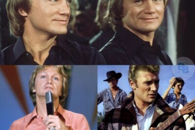 « Claude François n’a jamais fait n’importe quoi, contrairement à Johnny » : la défense essentielle d’un philosophe