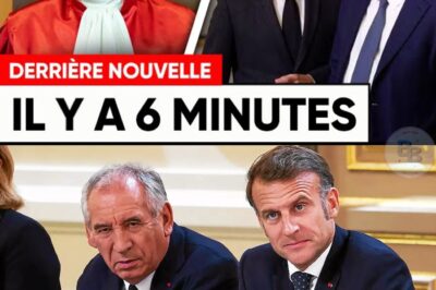 Macron et Bayrou Déclarés COUPABLES par le Conseil Constitutionnel : Le Verdict de la Honte Révèle un Deal Secret qui Fait Trembler l’Élysée