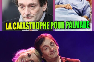 Pierre Palmade : La Chute. Seul, Ruiné et Acculé, l’Humoriste Face à son Scénario Catastrophe.