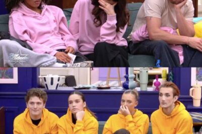 Star Academy : Qui sont les 5 élèves immunisés pour le prochain prime du 7 novembre ?