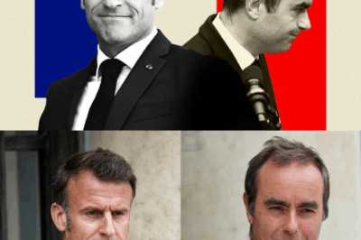 Emmanuel Macron et Sébastien Lecornu : un sondage Ipsos-BVA révèle une stabilité et un déclin au sein du gouvernement français.