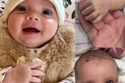 Quand la tempête a tout emporté — Les derniers jours de Baby Oaklynn