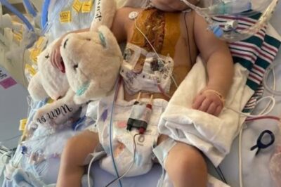 « Caden : Notre courageux petit guerrier au cœur tendre qui défie tous les pronostics ».