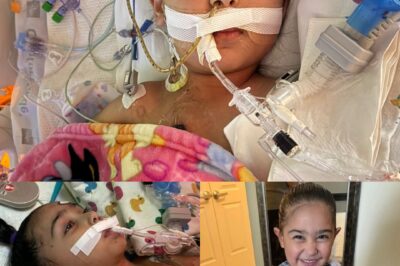 « Seulement 10 % de chances — Le miracle qui a refusé de mourir ».