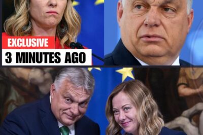 L’ALLIANCE OCCULTE MELONI & ORBÁN : L’EMPIRE EUROPÉEN S’EFFONDRE EN 2025 !