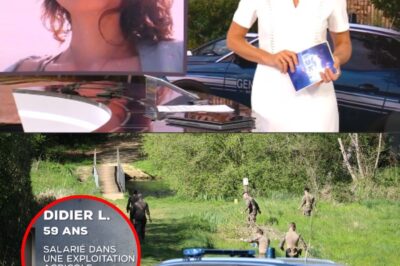 Pourquoi un homme, déjà condamné pour viol et sorti de prison récemment, a-t-il frappé Agathe Hilairet dans la Vienne ? Quelle est la vérité derrière sa version des faits, et pourquoi cette histoire réveille-t-elle tant de questions sur la justice et la réhabilitation ?