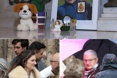 Affaire Emile : la mère du garçon trouvait le comportement de ses parents “bizarre” et “inapproprié”