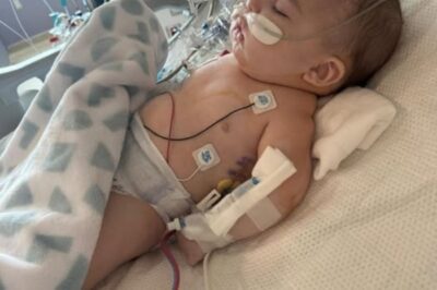 Un acte de foi : la famille de Gareth quitte tout pour l’espoir.