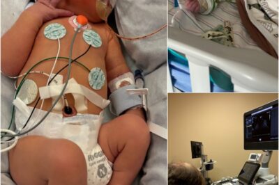 « Le parcours courageux de Fisher ».