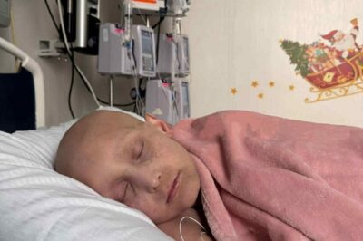 Les 14 jours les plus longs : l’attente du réveil des petits soldats