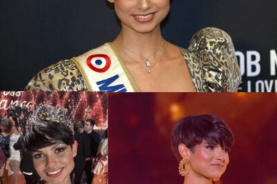 Miss Univers 2025 : Ève Gilles fait sensation en France