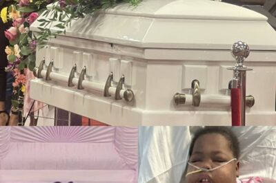 Les ailes de Jailyn — L’ange qui a mérité chaque plume.