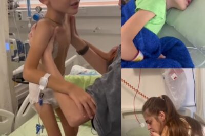 « Le dernier souhait du lion : s’il vous plaît, ne me quittez pas ».