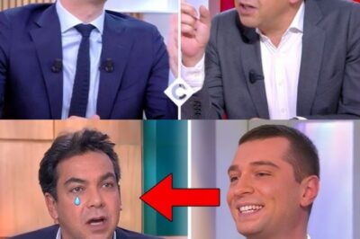 KO Magistral : Quand Jordan Bardella fait bégayer Patrick Cohen avec une leçon de droit parlementaire