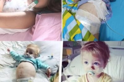 Le combat de Gosia pour l’avenir : l’amour d’une mère, le courage d’un enfant et un monde qui croit encore aux miracles.