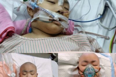 « Aidez à sauver Bentley : un courageux garçon de 9 ans qui lutte contre la leucémie de tout son cœur »