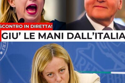 Scontro Epico a Bruxelles: Meloni umilia Steinmeier. “L’Italia non è una colonia”, la frase che fa tremare l’Europa.