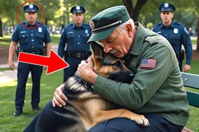 Un chien K9 a reçu l’ordre d’attaquer un vieil homme – mais ce qui s’est passé ensuite a fait pleurer tout le monde !