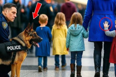 Une petite fille a donné un signal silencieux au chien policier. Ce que ce chien a fait ensuite a choqué tout le monde.
