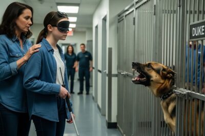 Une femme aveugle rencontre le chien policier le plus redouté – mais ce que fait ensuite le K9 retraité laisse toute l’Allemagne sans voix !