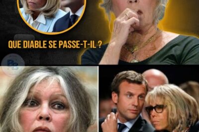 CHOC: À 91 ans, Brigitte Bardot se déchaîne et révèle un secret sur la France : la laideur règne en France.