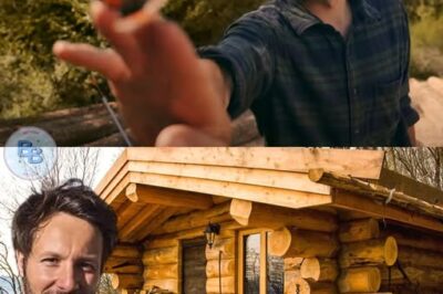 Le “Charpentier du Million” : Vianney Fête Son Triomphe Numérique en Pleine Nature, Sa Cabane Symbolique S’élève Comme une Ode à la Sérénité