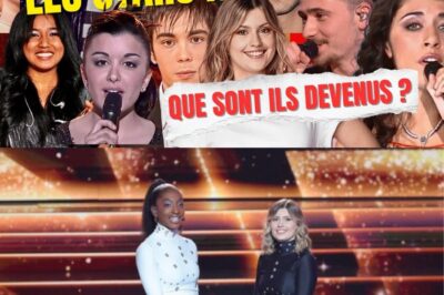 Les Gagnants de la Star Academy : Que Sont-Ils Devenus ? (Revivez les 12 Saisons)