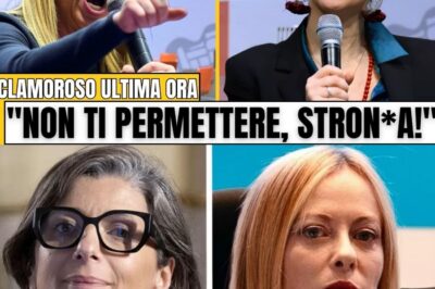 ALBANESE ATTACCA GIORGIA MELONI, MA VIENE UMILIATA IN DIRETTA: IL PUBBLICO IMPAZZISCE