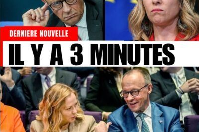 ULTIMATUM DA ROMA: Meloni lancia un colpo distruttivo, smascherando l’inganno della Germania e il collasso del sistema migratorio UE