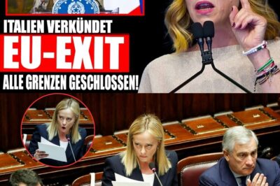 SÉISME À BRUXELLES : Meloni annonce la sortie de l’Italie de l’UE et la fermeture des frontières ! L’Allemagne en plein chaos alors que l’AfD prend la tête