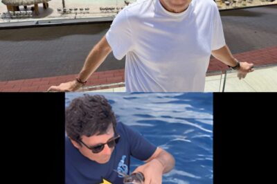 Patrick Bruel, ému sur scène, après avoir remis à la mer une tortue sauvée et soignée par Te Mana O Te Moana