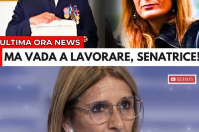 “Vergognatevi!”: L’Accusa in Diretta del Poliziotto Gresi Gela la Senatrice Malpezzi. Standing Ovation e Scontro Totale in TV.