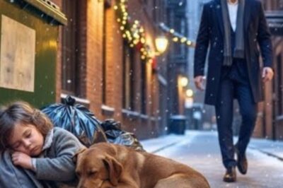 Un père célibataire découvre sa fille et son chien endormis dans une poubelle – La vérité lui brise le cœur.
