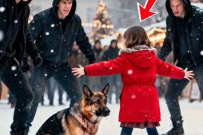 Personne n’osait empêcher les voyous de battre le chien — jusqu’à ce qu’une fille intervienne.