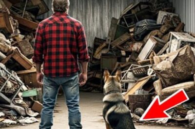 Un ancien combattant sans-abri a gagné un box de stockage rempli de bric-à-brac — Ce que son chien a trouvé à l’intérieur a changé leur vie.