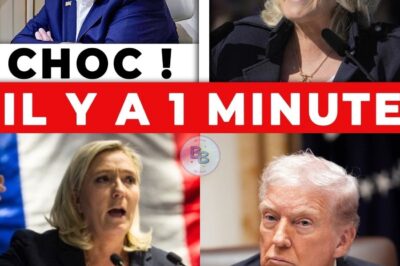 L’Ultime Humiliation : Comment le « NON » de Trump Déchire l’Économie Française et Pousse le Rassemblement National au Triomphe