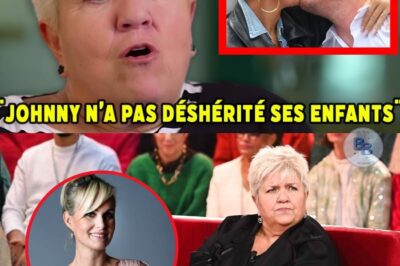 « Je ne pense pas qu’un papa aurait déshérité ses enfants » : Le Jour où Mimie Mathy a Fait Basculer la Guerre de l’Héritage Hallyday